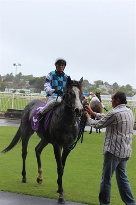 LOGAN RACING STABLES HAVE SIX RUNNERS AT RUAKAKA ON WEDNESDAY 28TH OCTOBER